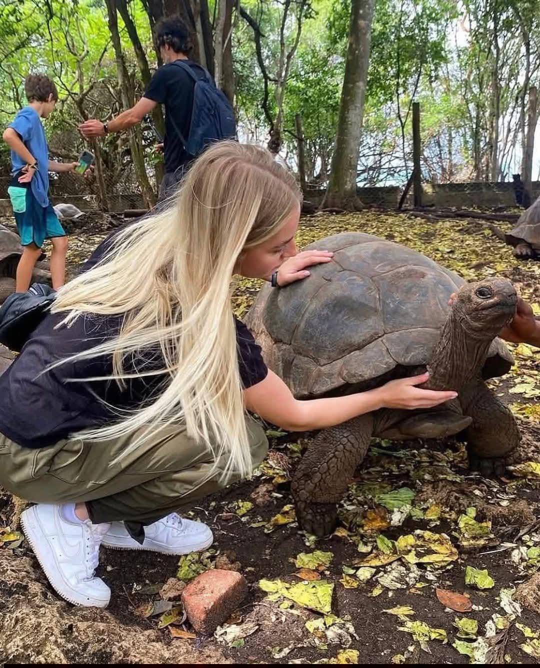 Meeting a giant tortoise on Prison Island